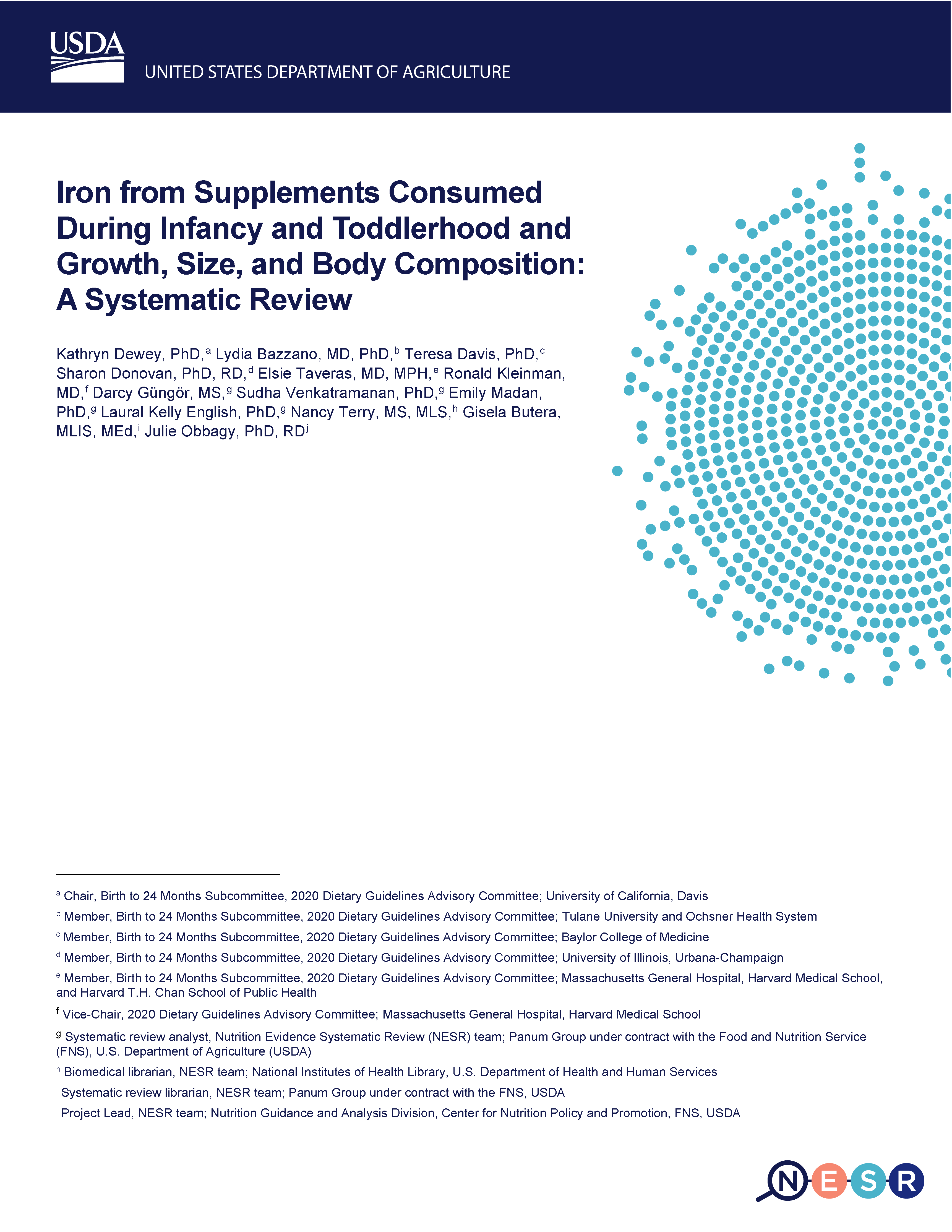 Cover of iron supplements consumed during infancy and toddlerhood and growth size body composition report