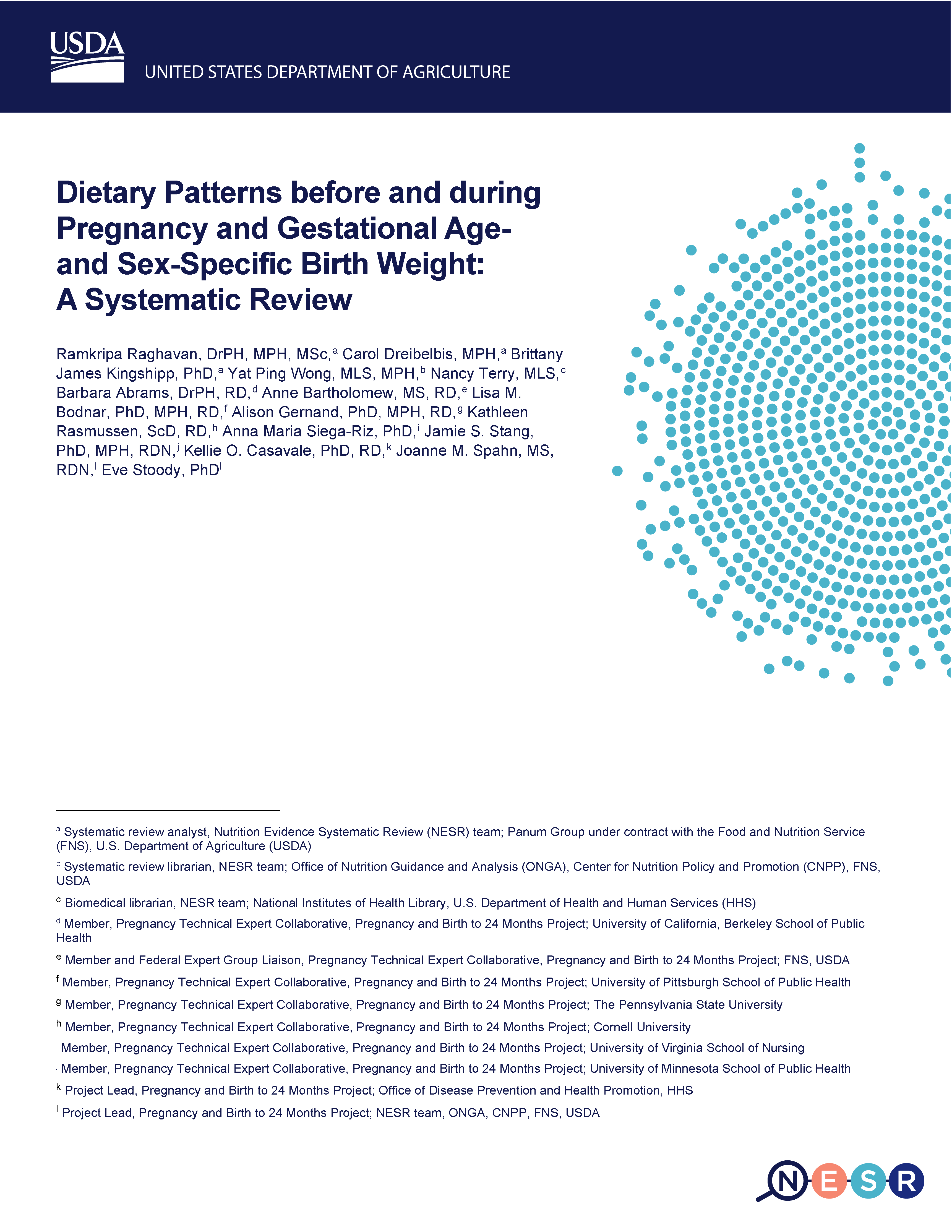 Cover of relationship between dietary patterns before and during pregnancy and birth weight report